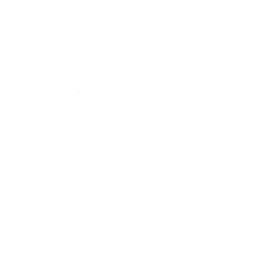 Kiarash Ghorbani Resume